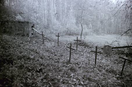 Cmentarz nr 300. Foto: E. Boryczko. 